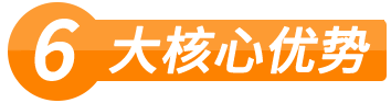 盛隆六大核心优势